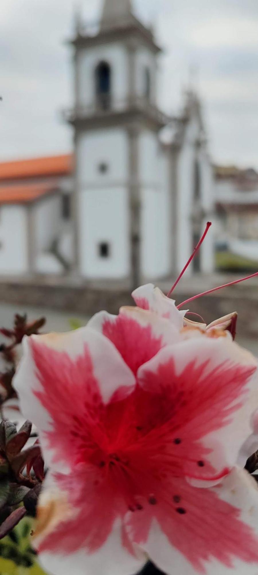 Donna Nega Alojamento Local Caminha Εξωτερικό φωτογραφία