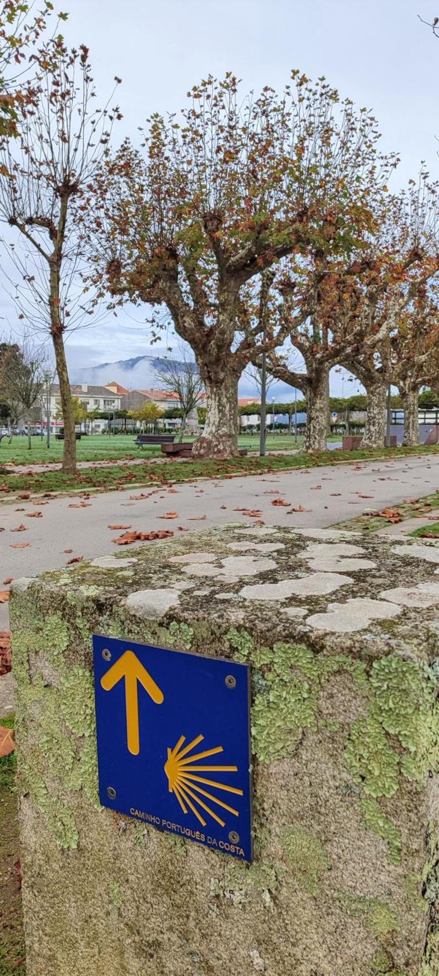 Donna Nega Alojamento Local Caminha Εξωτερικό φωτογραφία